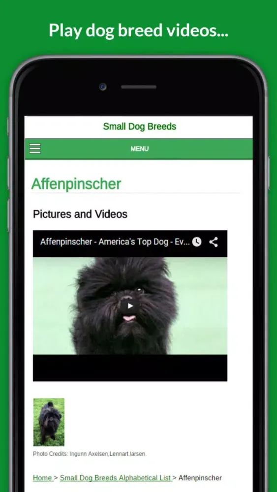 Small Dog Breeds 101 Ekran Görüntüleri