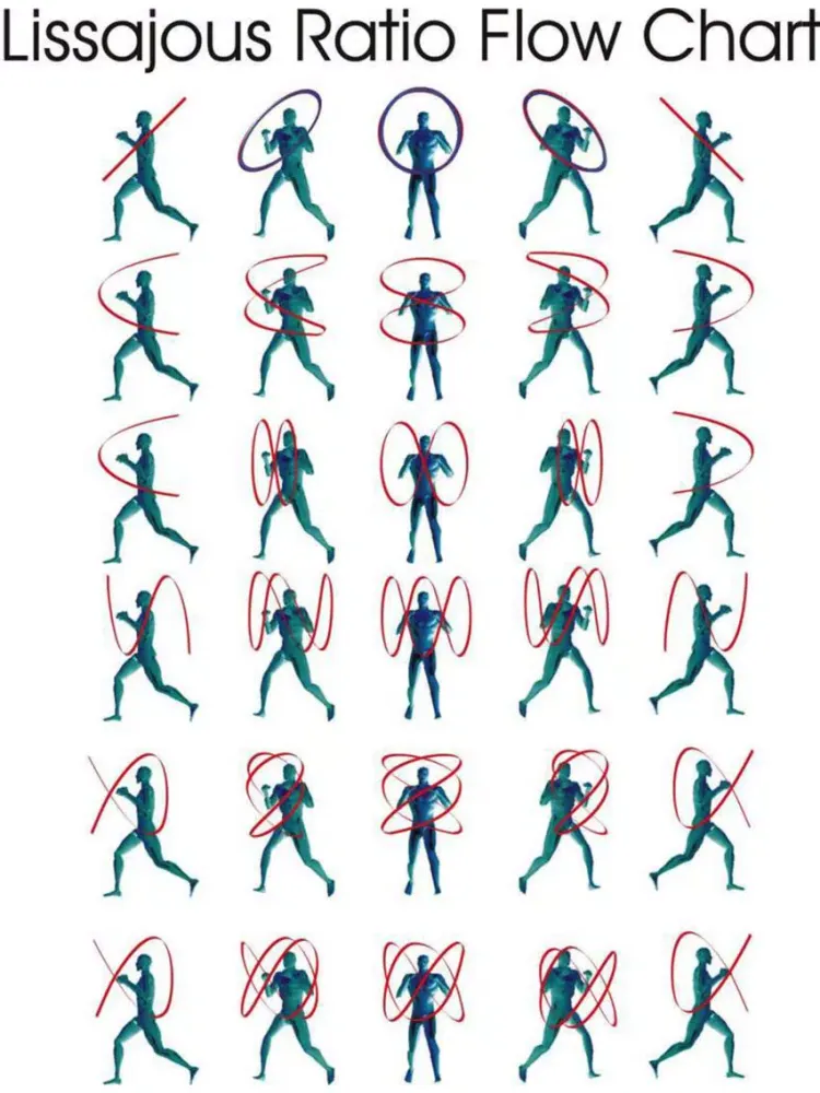 Capturas de tela do Nunchucks: How To - Lee Barden's ProChux iPad 
