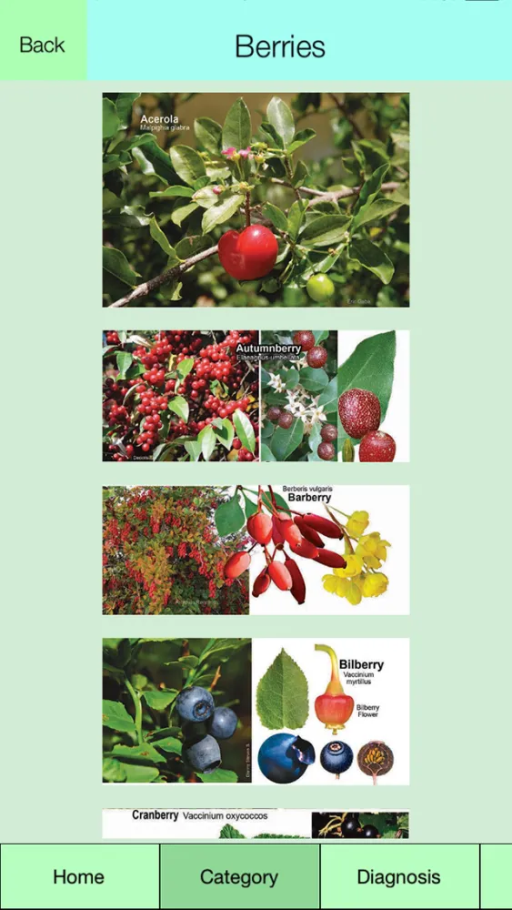 Edible Plant Guide應用截圖