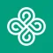 AI Chatbot App with Сhat