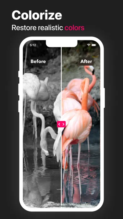Photo Clearer: Clarify Photo應用截圖
