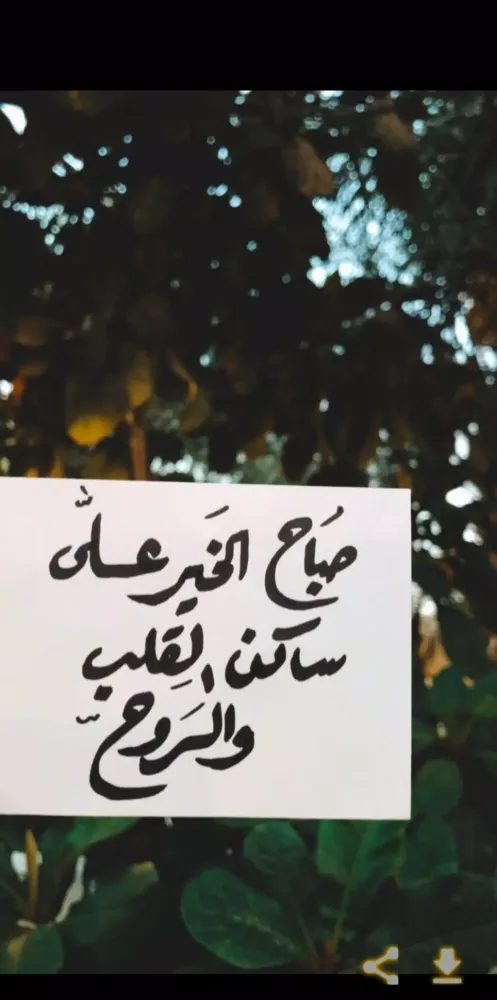 Tangkapan skrin صور صباح الخير