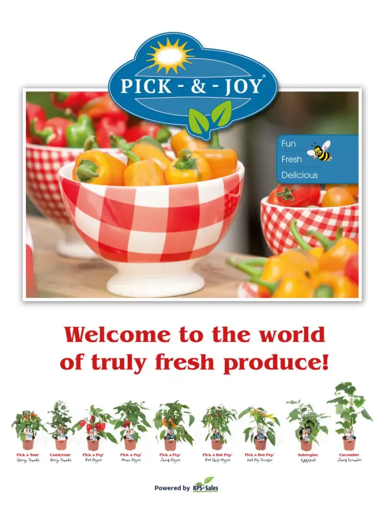 Screenshot di Pick & Joy iPad 
