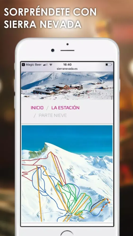 Screenshot di Magic Beer