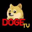DTV Player