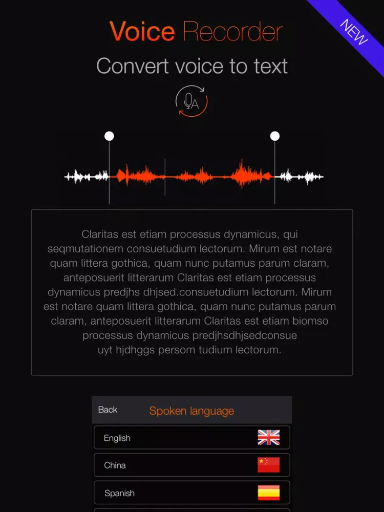 Voice Recorder: Audio record iPad  स्क्रीनशॉट