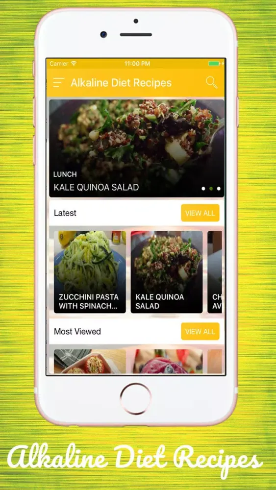 Capturas de tela do Alkaline acid diet recipes