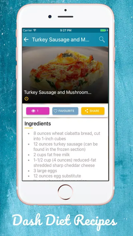 Dash Diet Plan Recipes Screenshots