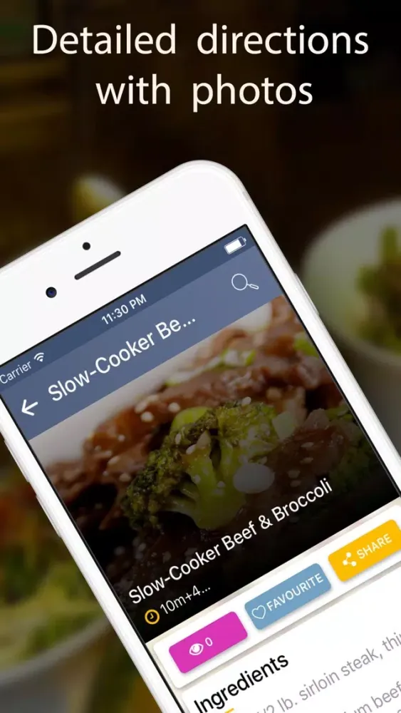 Slow Cooker Recipes Healthy Screenshots