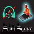 SoulSync Music