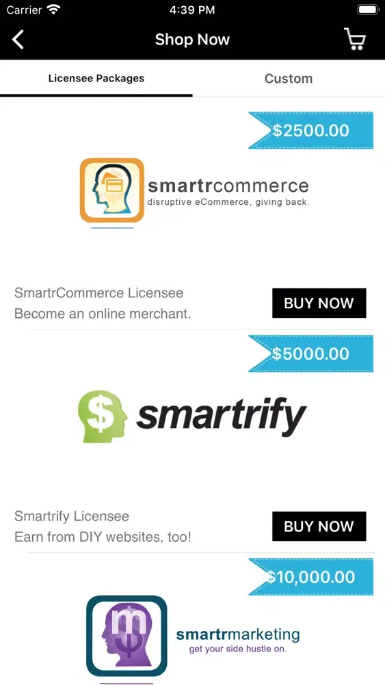 Build a Software Company سکرین شاٹس