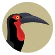 BirdPro BirdPro