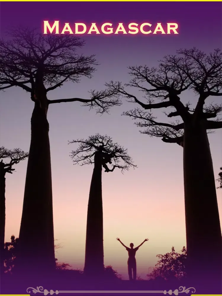 Screenshot di Madagascar Tourist Guide iPad 