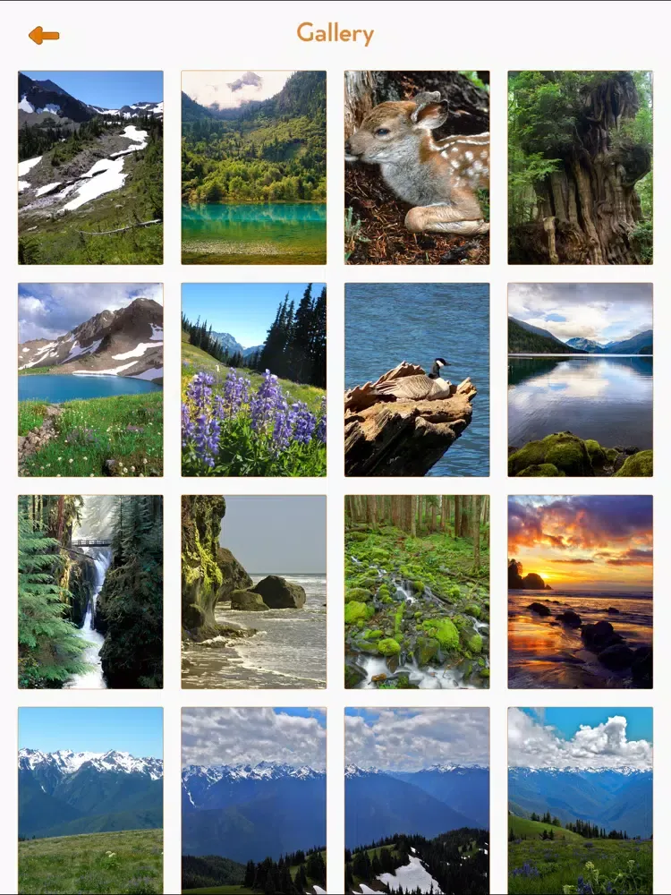 Olympic National Park Guide iPad  Screenshots