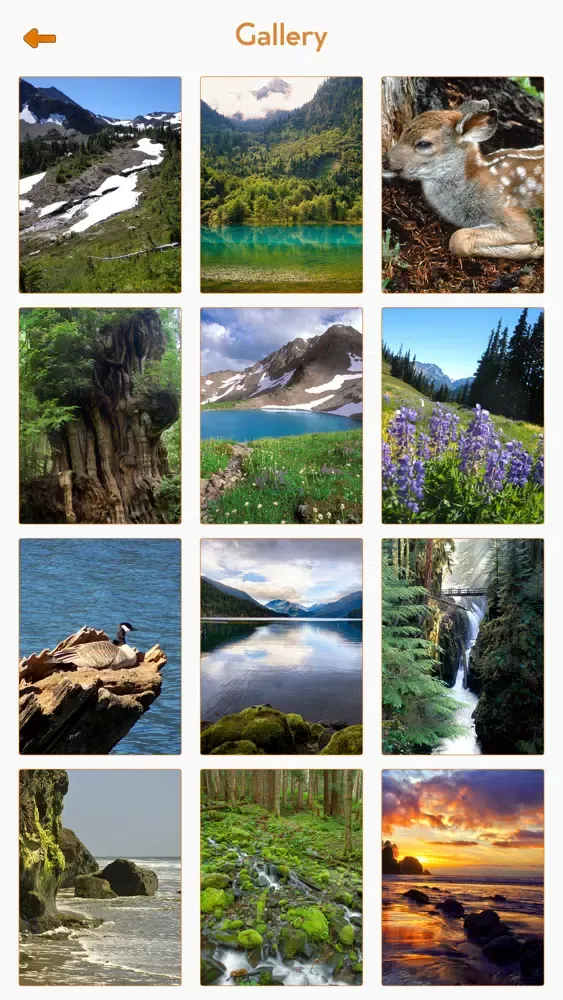 Olympic National Park Guide Screenshots