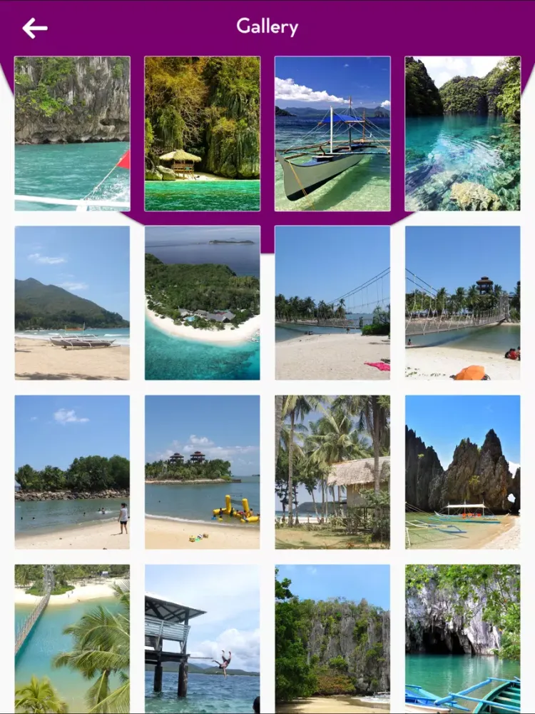 Palawan Island Travel Guide iPad 应用截图