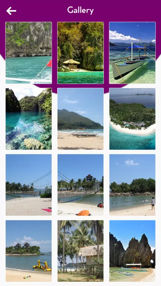 Palawan Island Travel Guide应用截图
