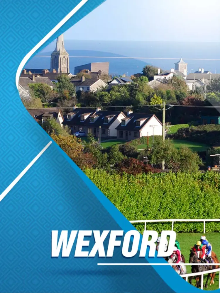 Zrzuty ekranu Wexford Travel Guide iPad 