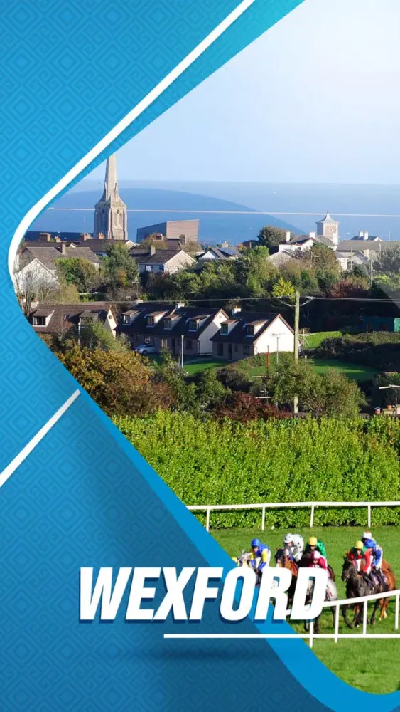 Zrzuty ekranu Wexford Travel Guide