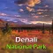 Denali National Park Tourist Guide