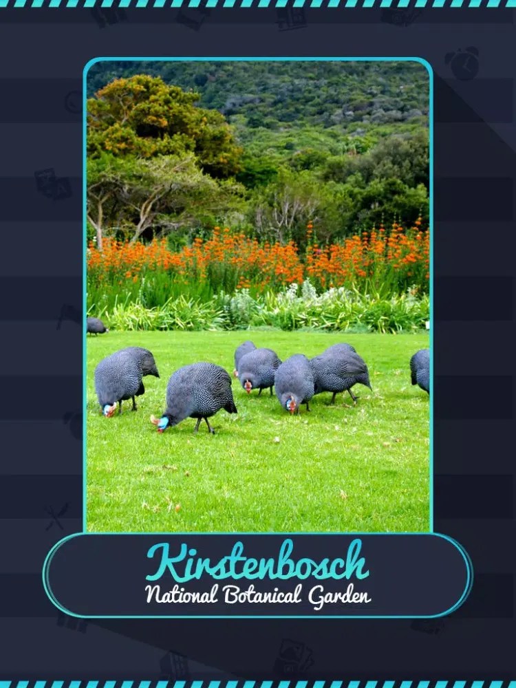 Скриншоты Kirstenbosch National Botanical Garden Guide iPad 