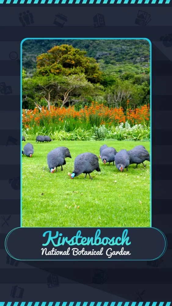 Скриншоты Kirstenbosch National Botanical Garden Guide