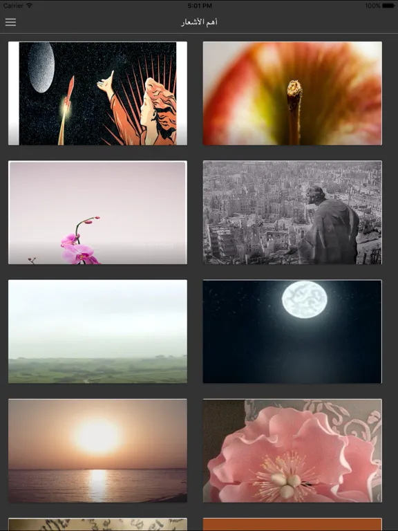 ديوان أبو العلاء المعري iPad 应用截图