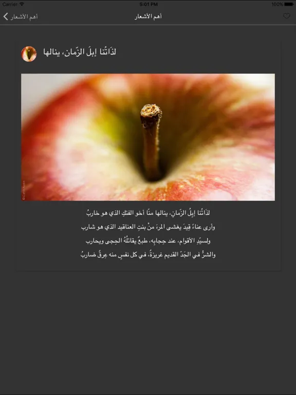 ديوان أبو العلاء المعري iPad 应用截图