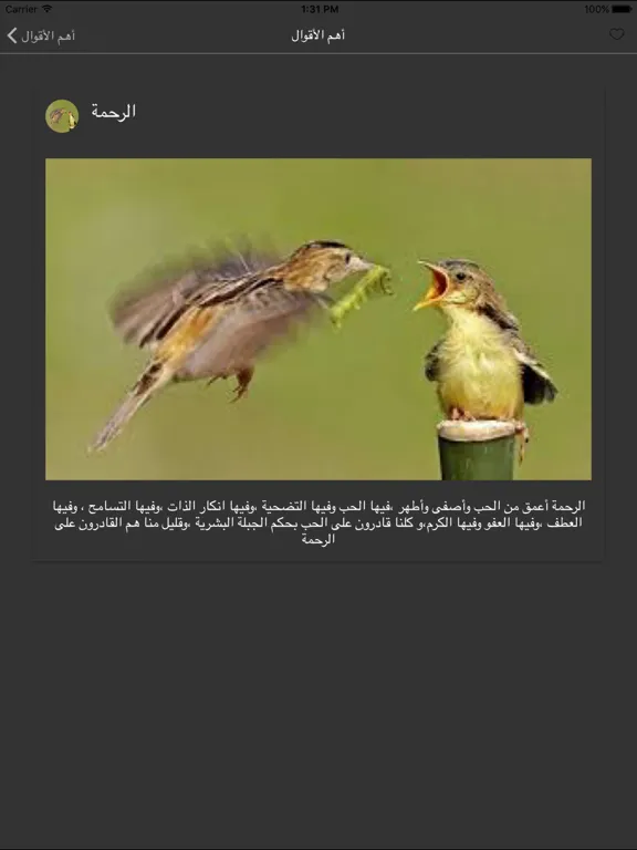 أقوال مصطفى محمود iPad 应用截图