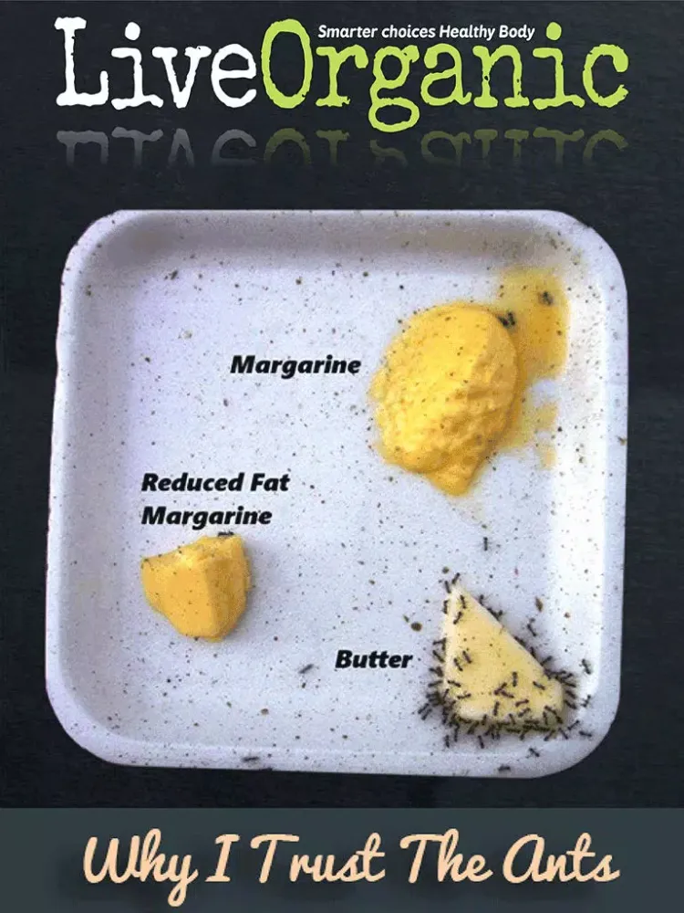 Zrzuty ekranu Live Organic Magazine iPad 