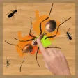 Ant Smasher Bug Games Ant Smasher Bug Games