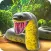 Anaconda Snake Revenge