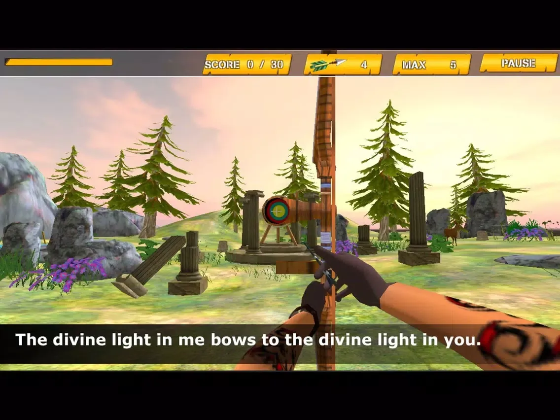 Archery 3D Game 2016 iPad 应用截图