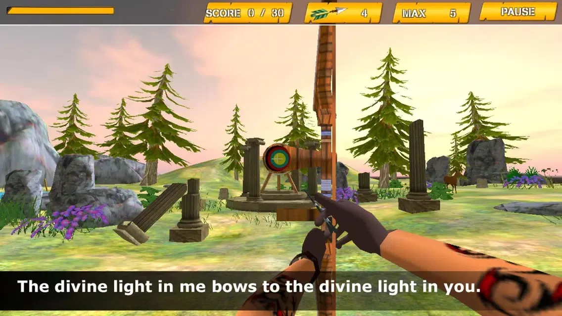 Archery 3D Game 2016应用截图