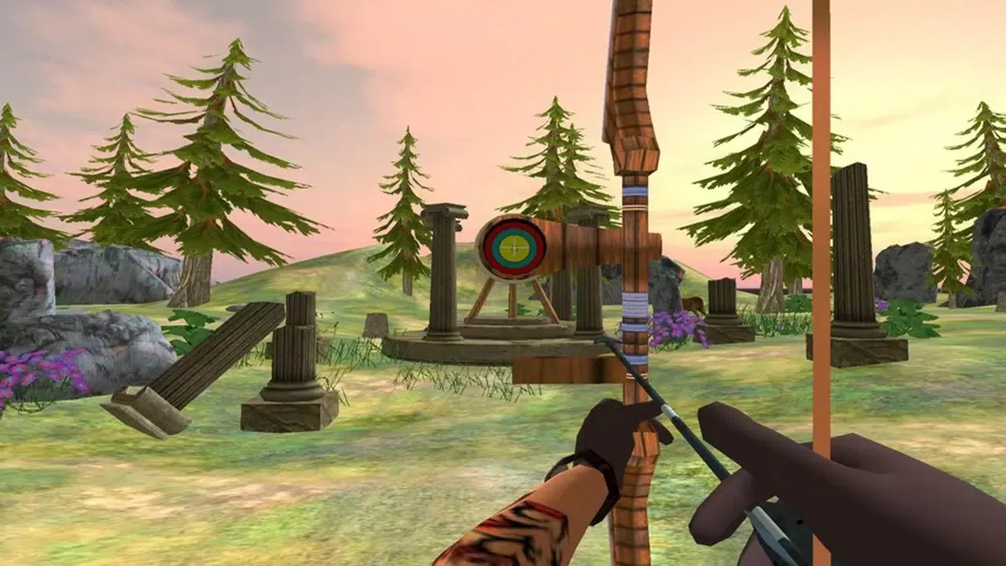 Ảnh chụp màn hình của Archery Game Tournament