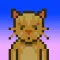 Dizzy Cat