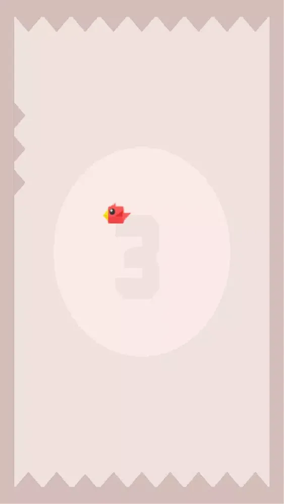 Cool Bird - Free Screenshots
