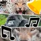 Animal Ringtones & Sounds