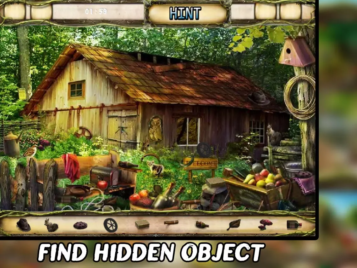 The Secret of The Lake Hidden Object iPad  Screenshots