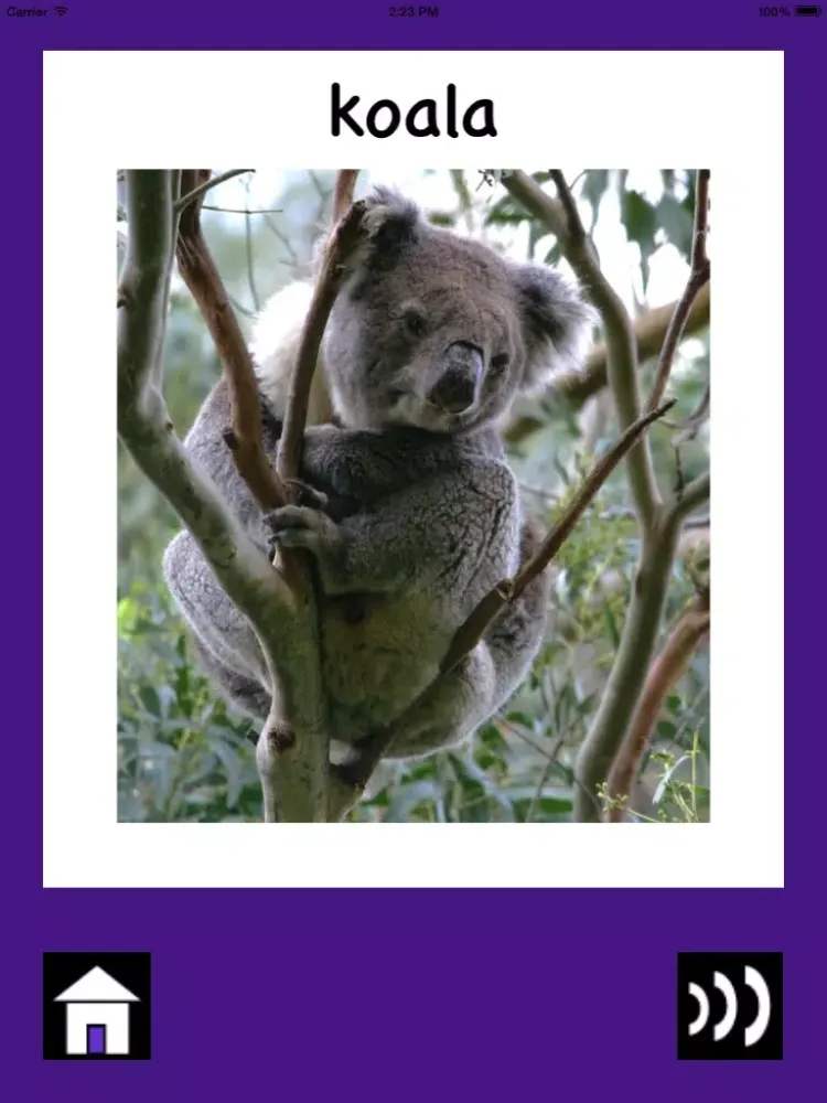 Australian Baby & Toddler Flash Cards iPad  Ekran Görüntüleri