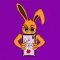 Endi Chat Social Platform