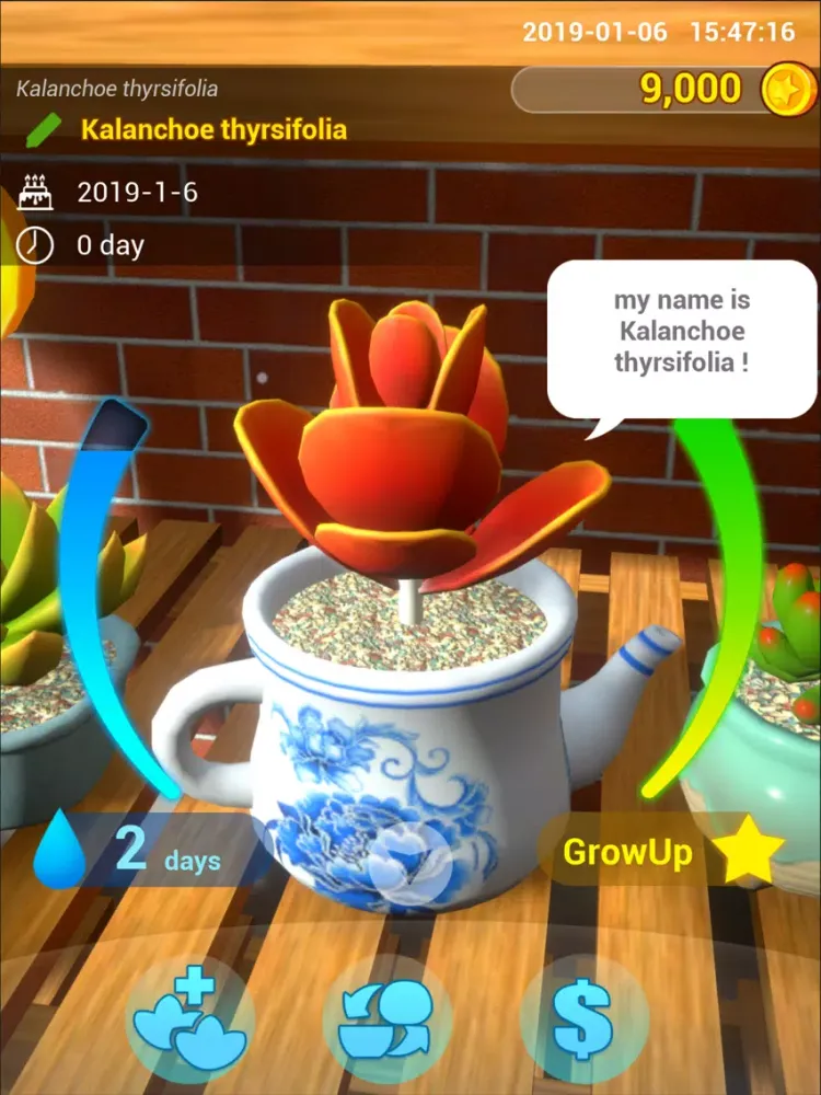 Balcony Garden iPad  스크린샷
