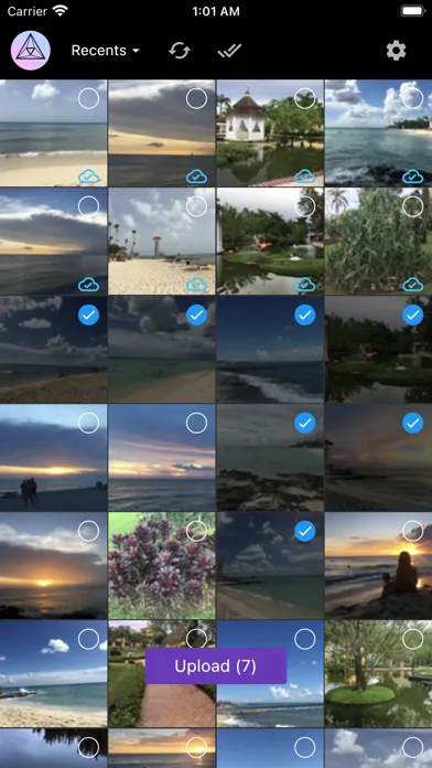 Capturas de tela do Photo Uploader for PhotoPrism
