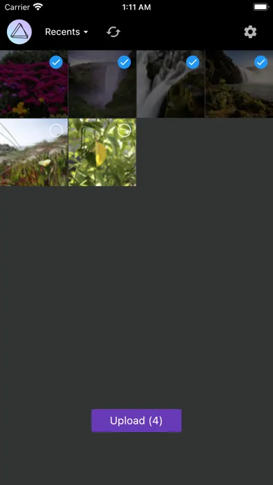 Capturas de tela do Photo Uploader for PhotoPrism