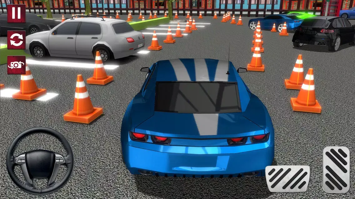 Backyard Parking Mania 3D Screenshots