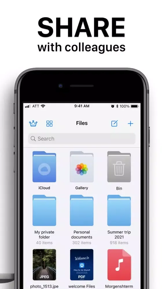 Captures d'écran de Files for Air Share