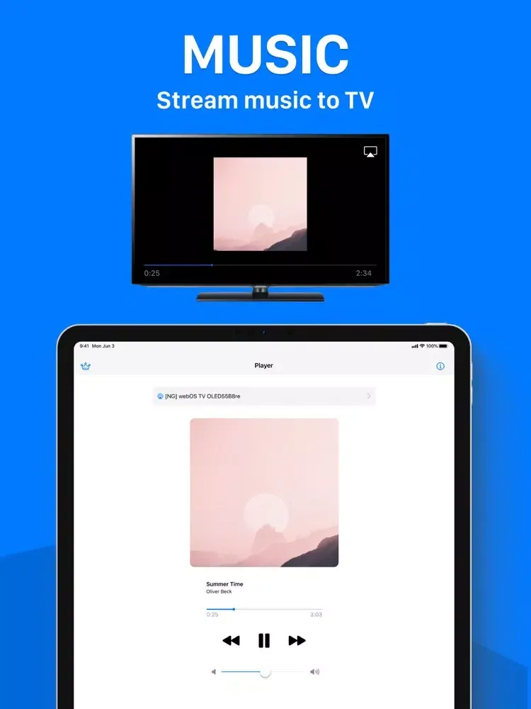 Скриншоты Air Cast for TV iPad 