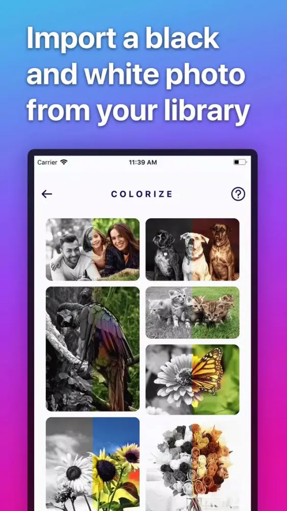 Screenshot di Colorize - Color B&W Photo