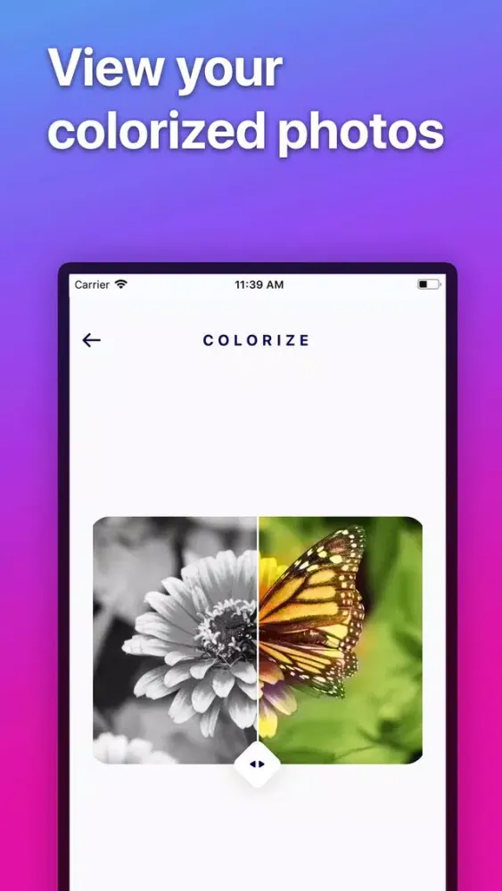 Screenshot di Colorize - Color B&W Photo