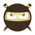Rushing Ninja